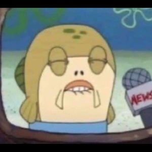 Meet your Posher, Rosalie